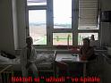 Resize of 0108 IMG_3445